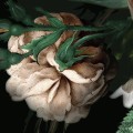 Fototapeta Flower Couture D1-032