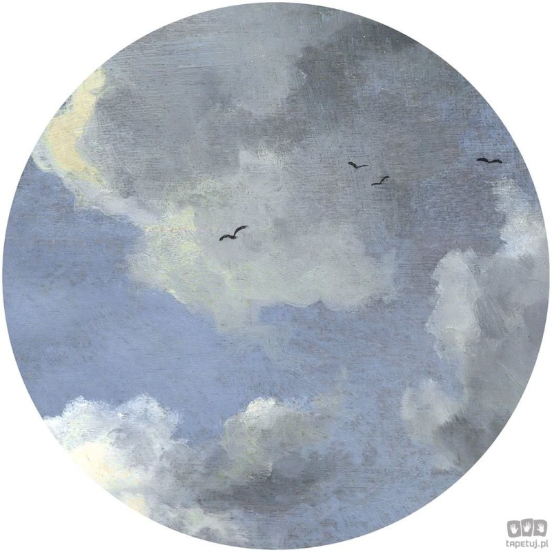 Fototapeta Simply Sky D1-037