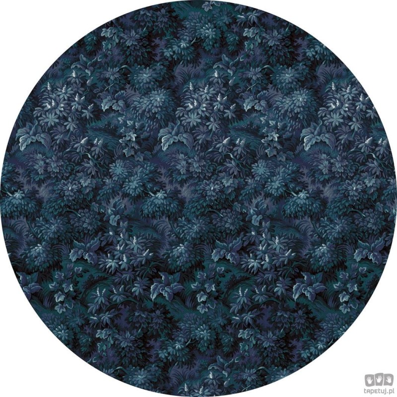 Fototapeta Azul D1-038