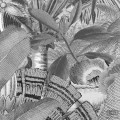Fototapeta Amazonian Spirit D1-055