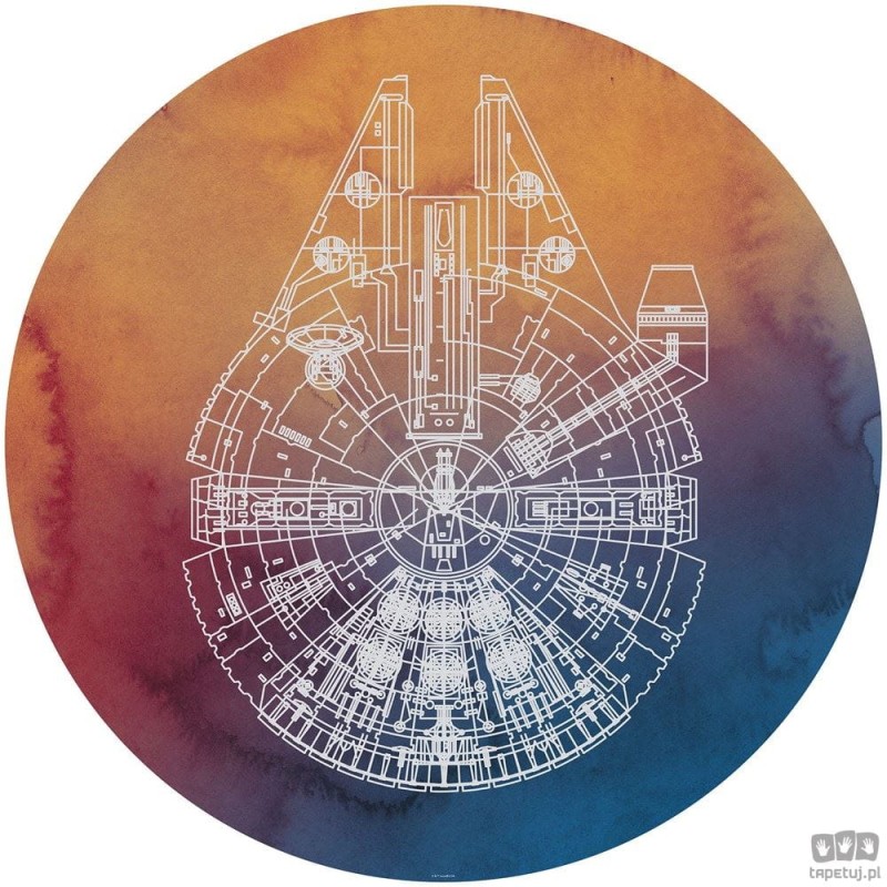 Fototapeta Star Wars Millennium Falcon DD1-027