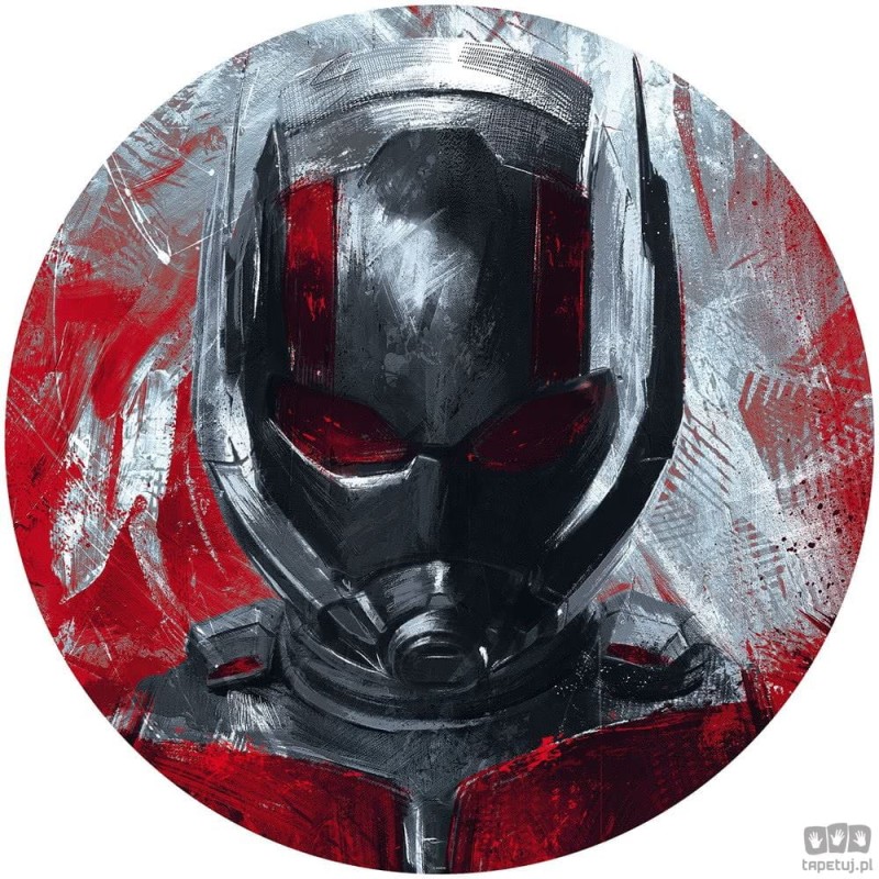 Fototapeta Avengers Painting Ant-Man DD1-049