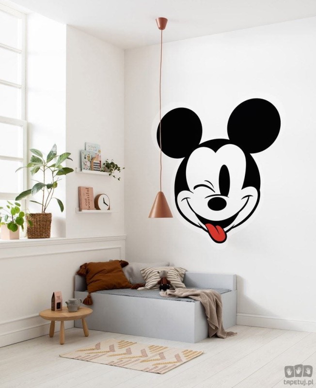 Fototapeta Mickey Head Optimism DD1-057