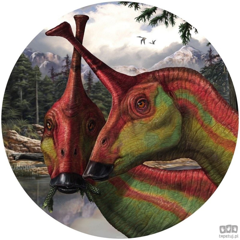 Fototapeta Tsintaosaurus DNG1-005