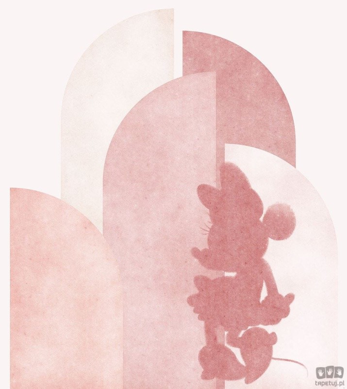 Fototapeta Minnie Creative Aesthetic IADX5-050