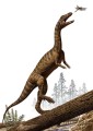 Fototapeta Effigia IANGX4-005