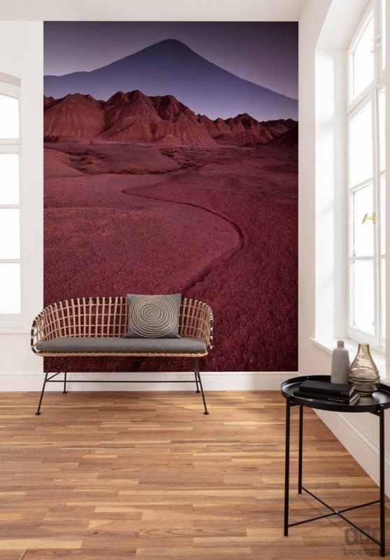 Fototapeta Red Mountain Desert IANGX4-023