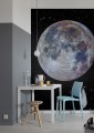Fototapeta Lunar IANGX4-025