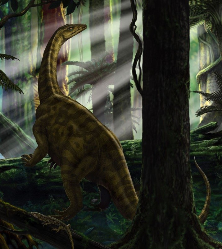 Fototapeta Riojasaurus Forest IANGX5-012