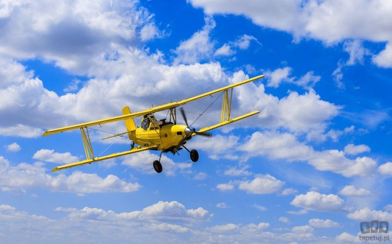 Fototapeta Biplane IANGX8-018