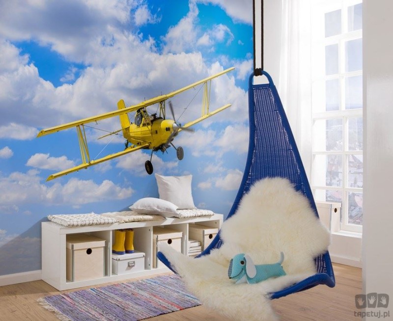 Fototapeta Biplane IANGX8-018