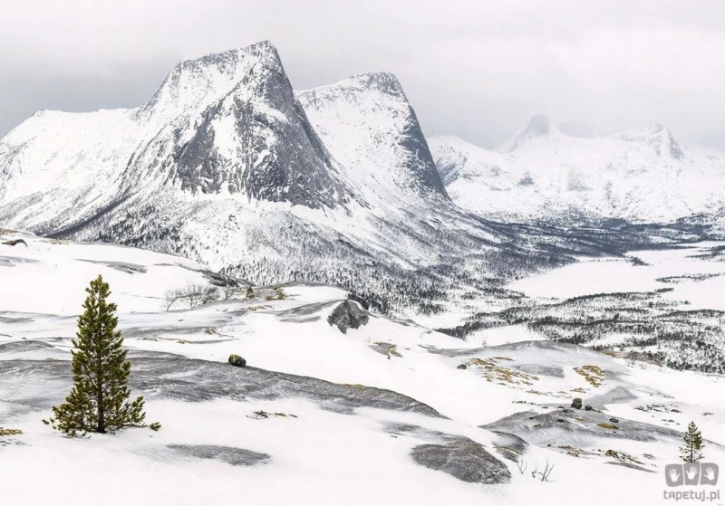 Fototapeta White Enchanted Mountains IANGX8-024