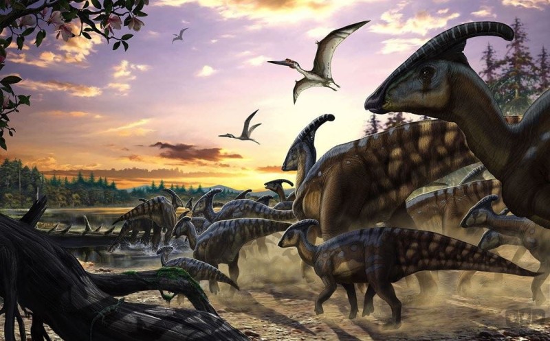 Fototapeta Parasaurolophus Herd IANGX9-013