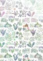 Fototapeta Flower Farm IAX4-0006