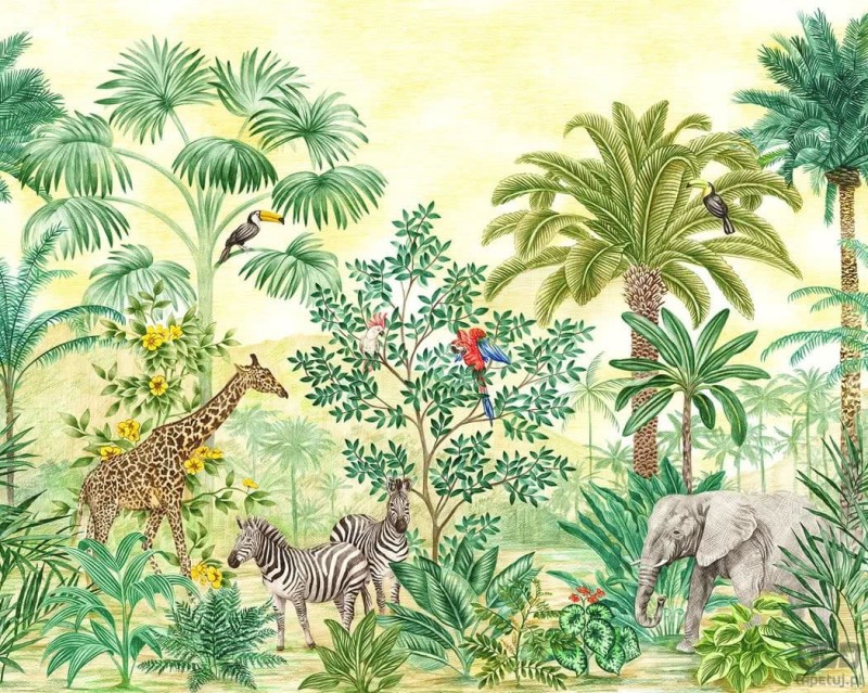 Fototapeta Jungle Adventure IAX7-0010