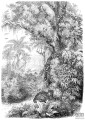 PARADISE 158945 fototapeta ścienna Esta Home