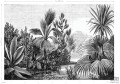 PARADISE 158953 fototapeta ścienna Esta Home