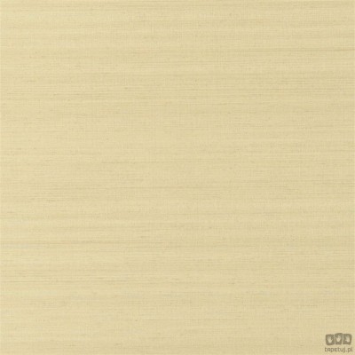 Chinon PDG1119/03 tapeta ścienna Designers Guild