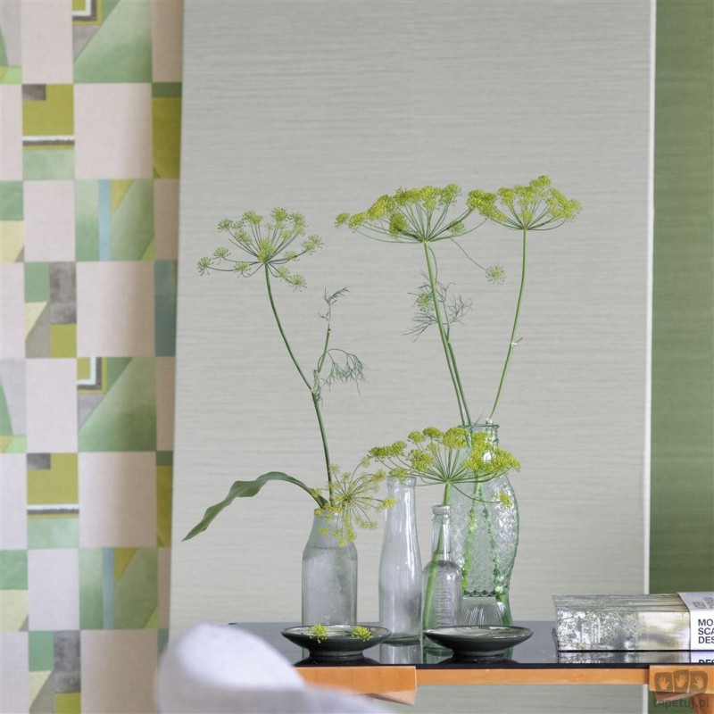 Chinon PDG1119/01 tapeta ścienna Designers Guild
