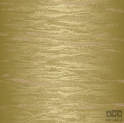 LUX LX103 tapeta ścienna Texam