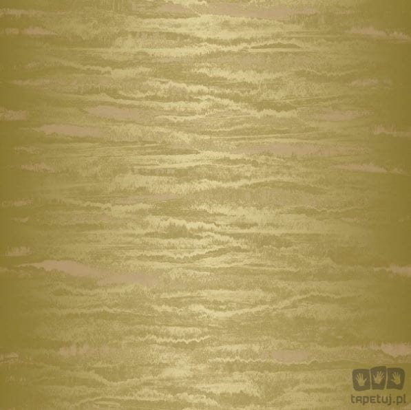 LUX LX103 tapeta ścienna Texam
