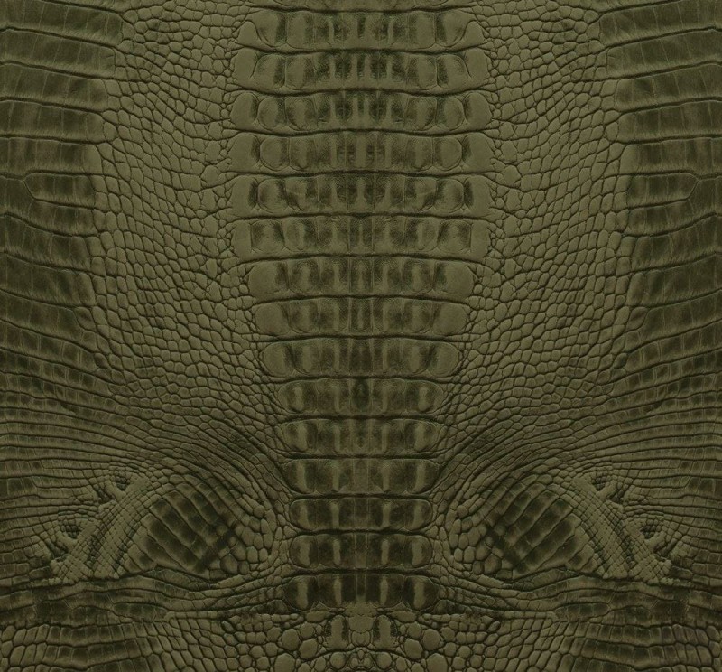 Fototapeta na flizelinie ze skóry węża