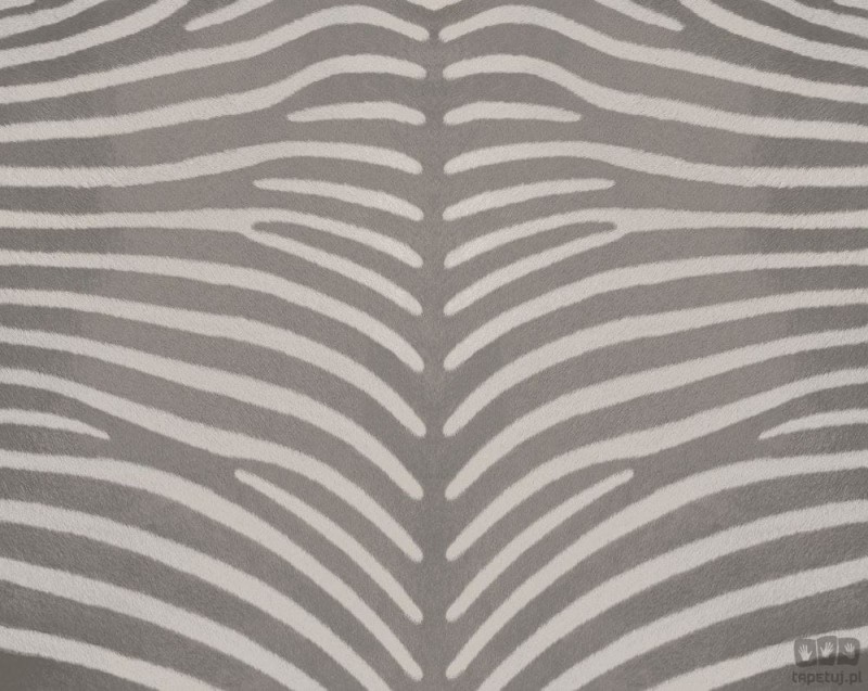 Fototapeta na flizelinie z zebrą
