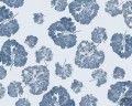 Fototapeta Foglia Navy