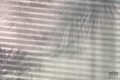 Fototapeta Shadows XXL4-059