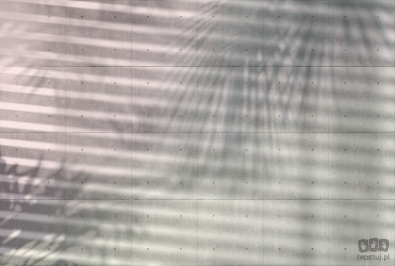 Fototapeta Shadows XXL4-059