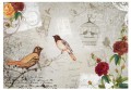 Fototapeta - Good morning