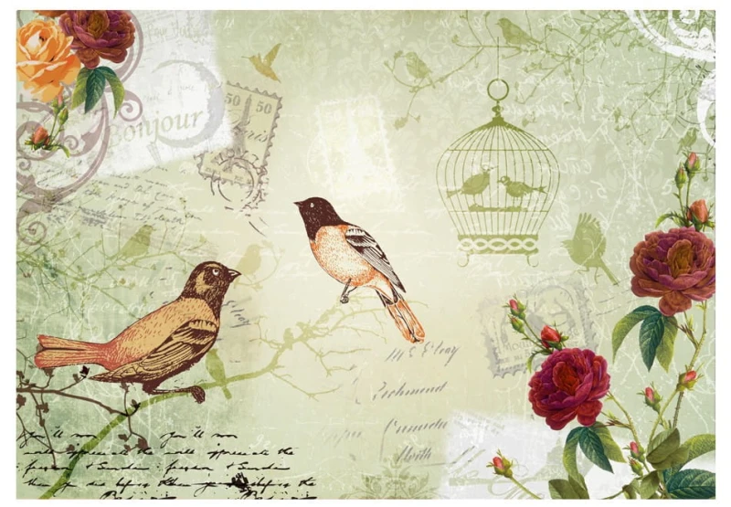 Fototapeta - Vintage birds