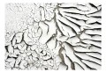 Fototapeta - Znaki czasu