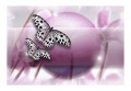 Fototapeta - Fly, Butterfly!