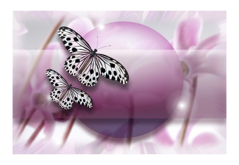 Fototapeta - Fly, Butterfly!