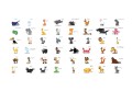 Fototapeta XXL - Learning by playing (animals)