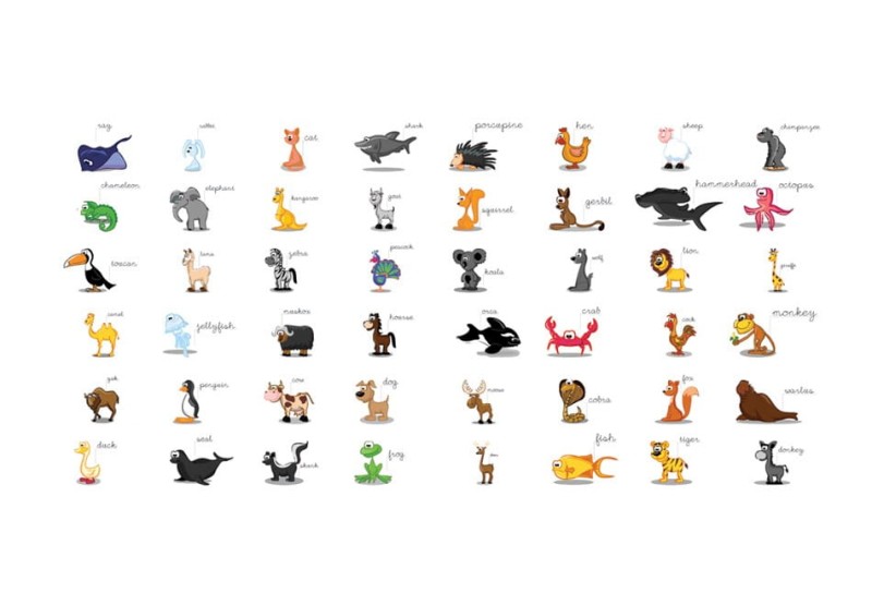 Fototapeta XXL - Learning by playing (animals)