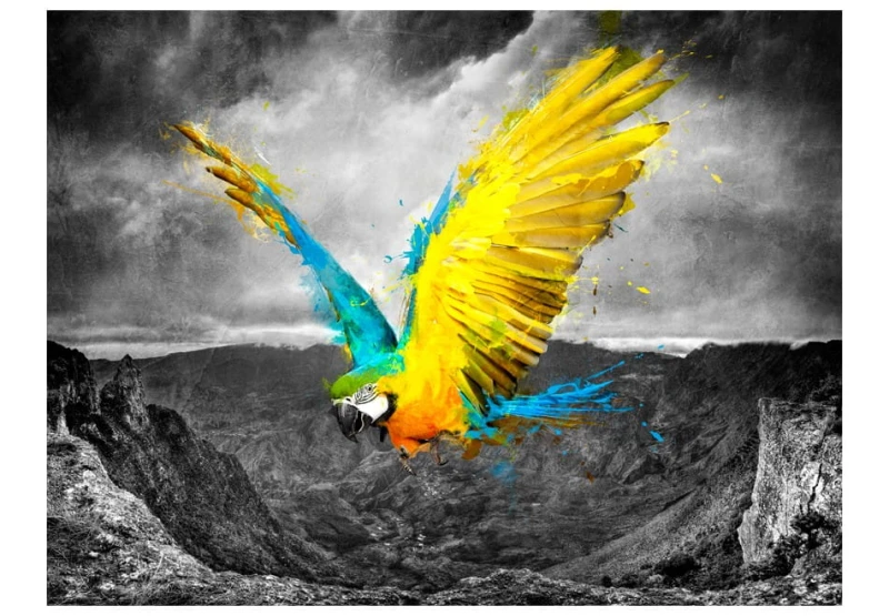 Fototapeta - Exotic parrot