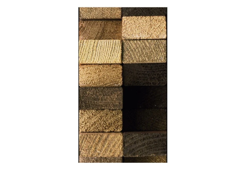 Fototapeta - Chronieni drewnianym splotem