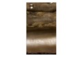 Fototapeta - Metalowe przymierze