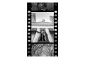 Fototapeta - NY - Diversity (collage)