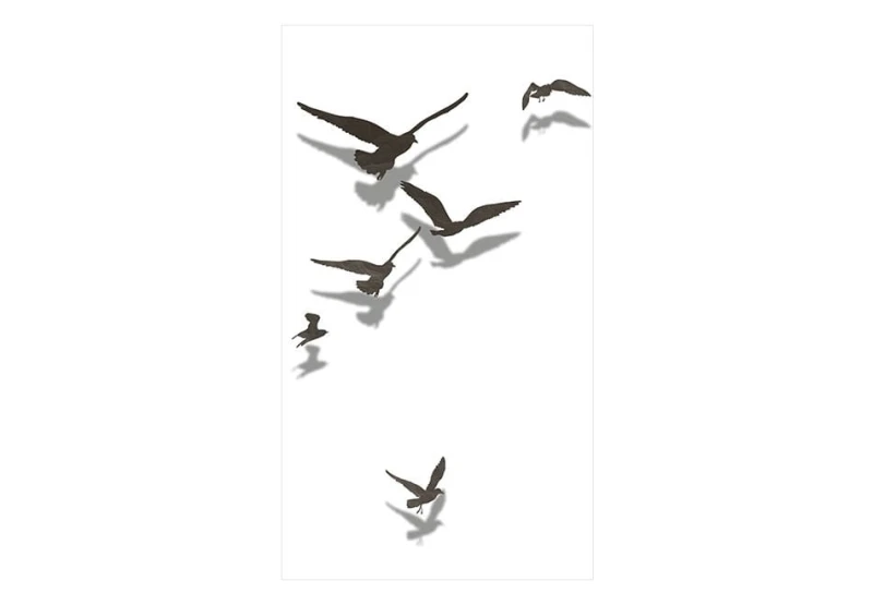 Fototapeta - Wolne ptaki