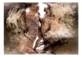 Fototapeta - Ukryta miłość