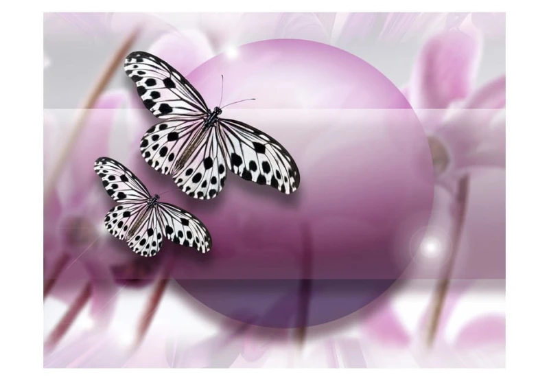 Fototapeta - Fly, Butterfly!