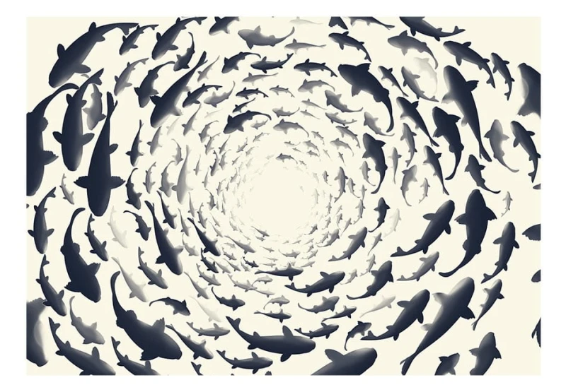 Fototapeta - Rybie zawirowanie