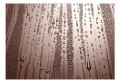 Fototapeta - Jesienna mżawka