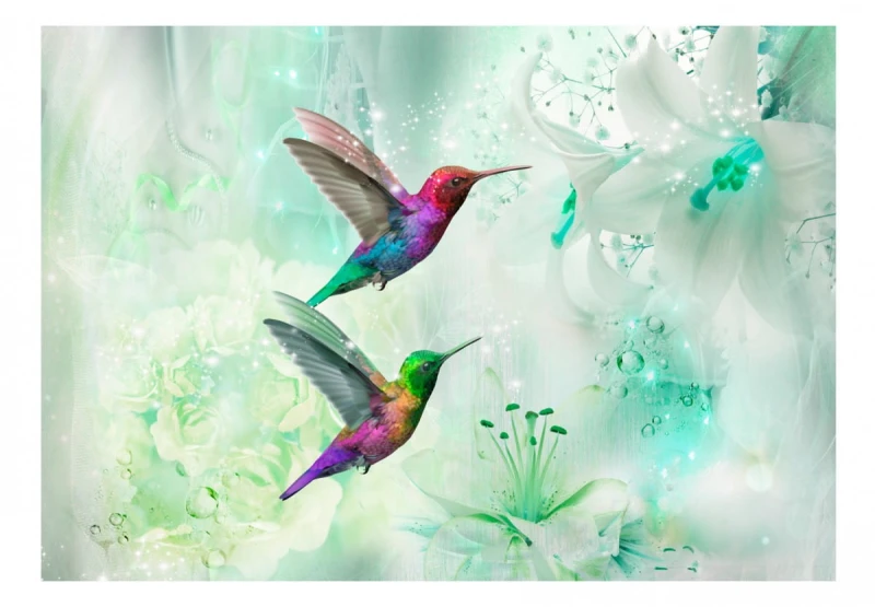 Fototapeta - Kolorowe kolibry (zielony)
