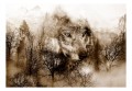 Fototapeta - Drapieżnik z gór (brązowy)