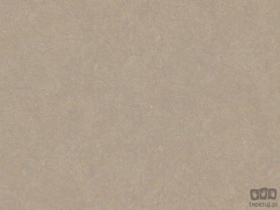 Trussardi VI Z46036 tapeta ścienna Zambaiti Parati