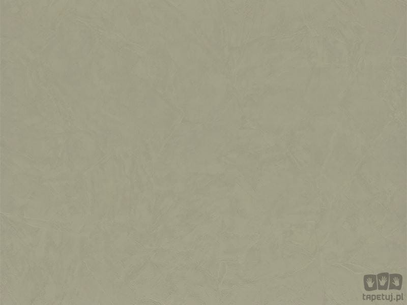 Trussardi VI Z46053 tapeta ścienna Zambaiti Parati